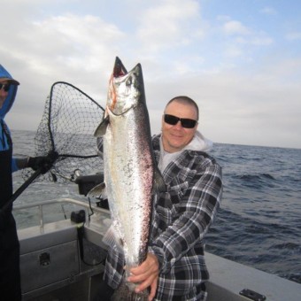 Chinook Salmon